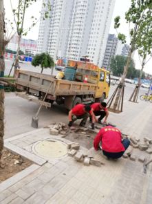 市政工程管理中心強化設施維修，全力保障道路暢通與設施完善