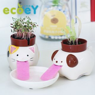 懶人新奇特 韓國家居生活小用品的創意實用美學